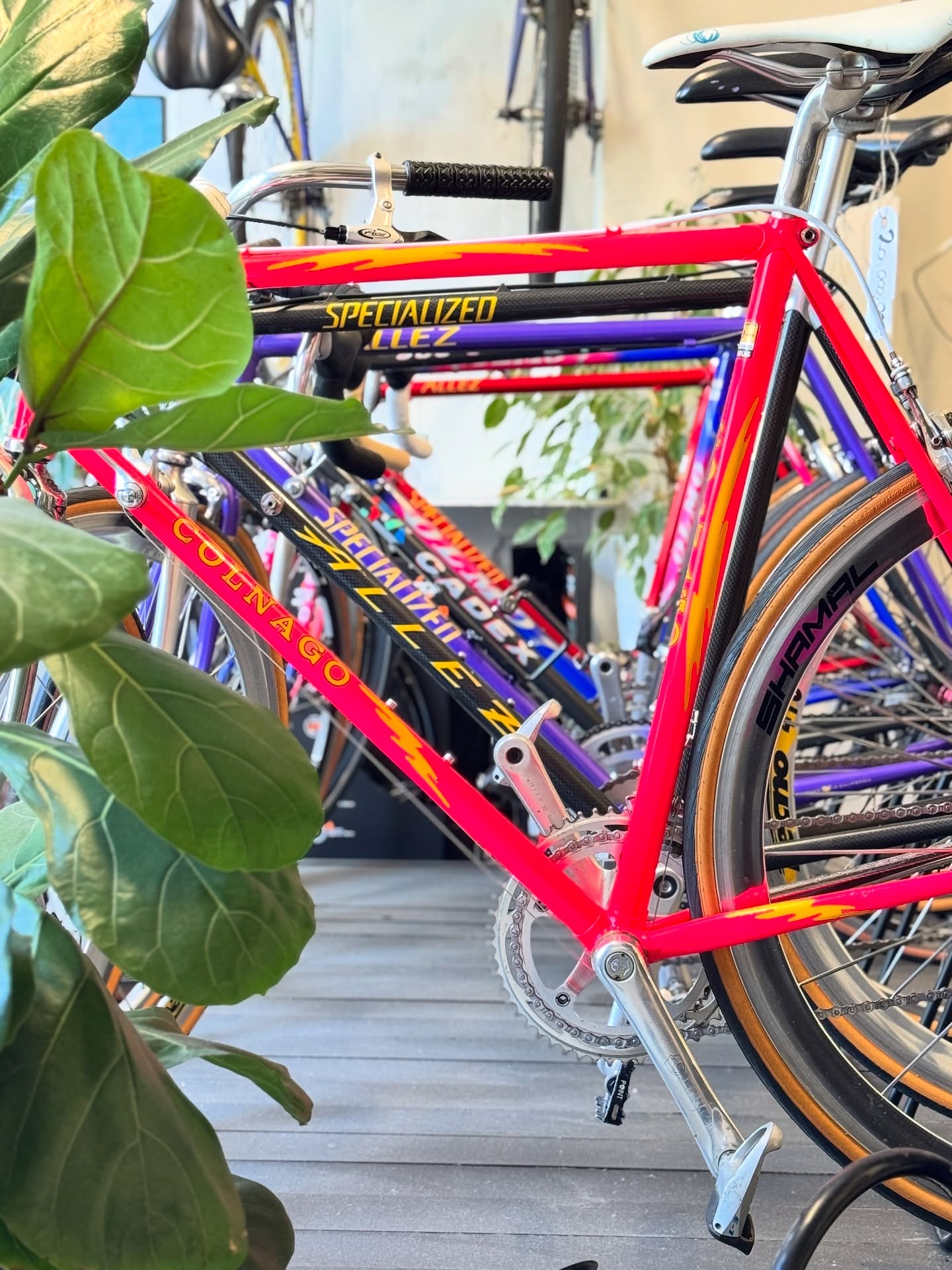 Colourful road bikes in a row between plants at Reride