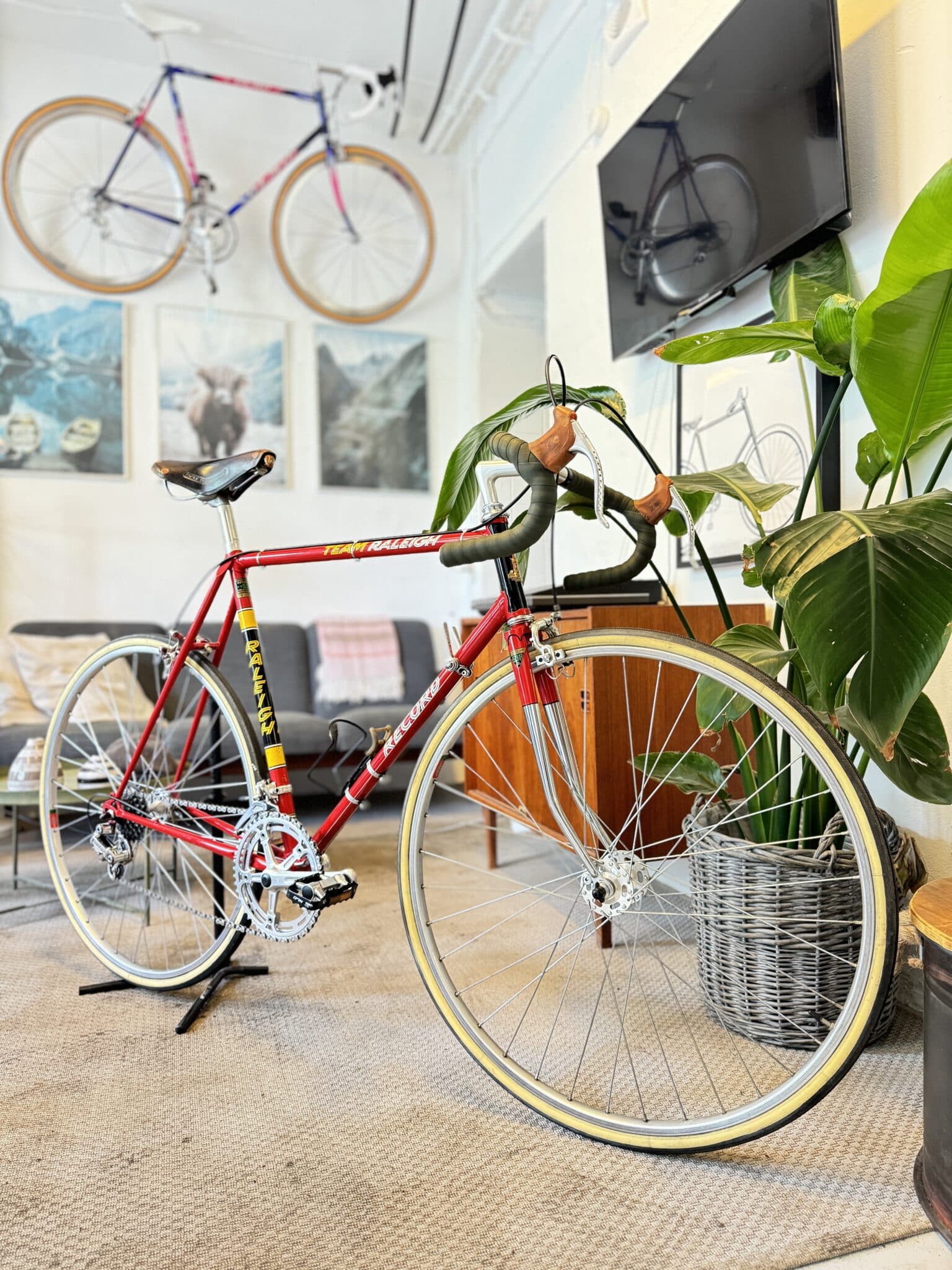 Team Raleigh Record Raleigh Record vintage TDF racercykel | Reride ApS