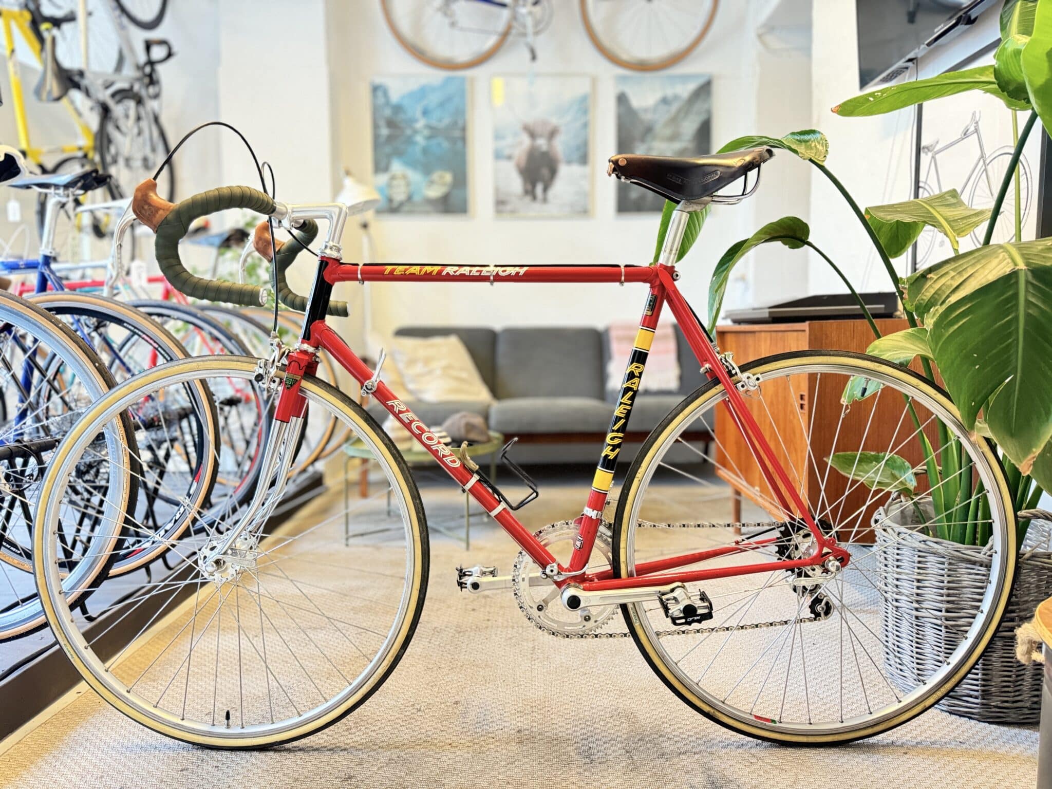 Vélo Raleigh Record USA - Bicycles - Mont-Saint-Hilaire